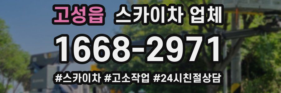 고성읍 스카이차 업체