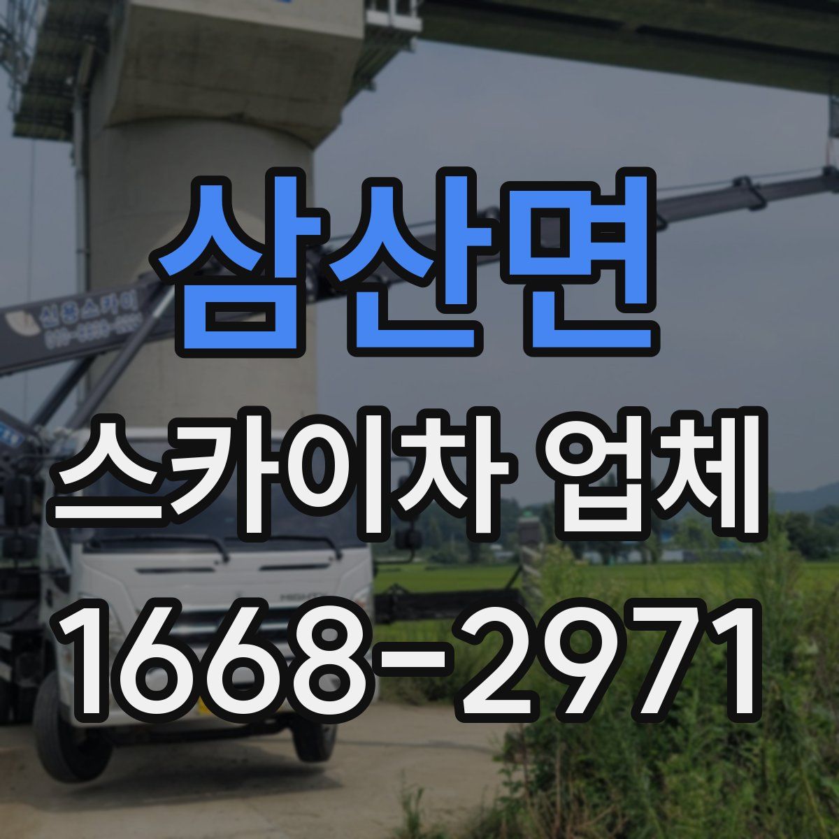삼산면 스카이차 업체
