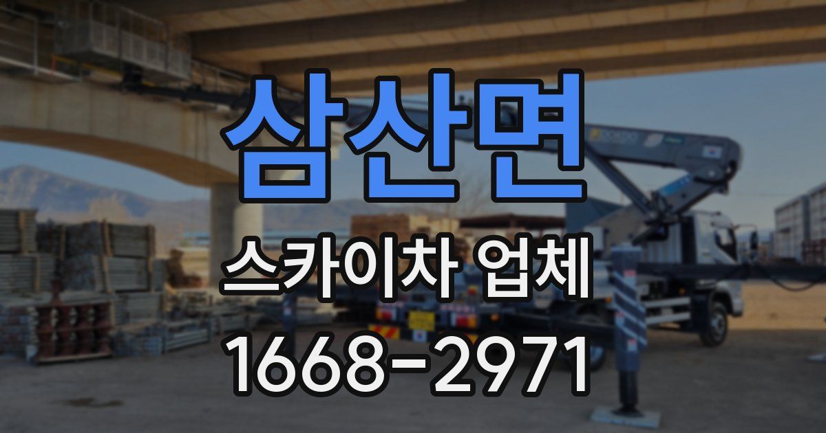 삼산면 스카이차 업체