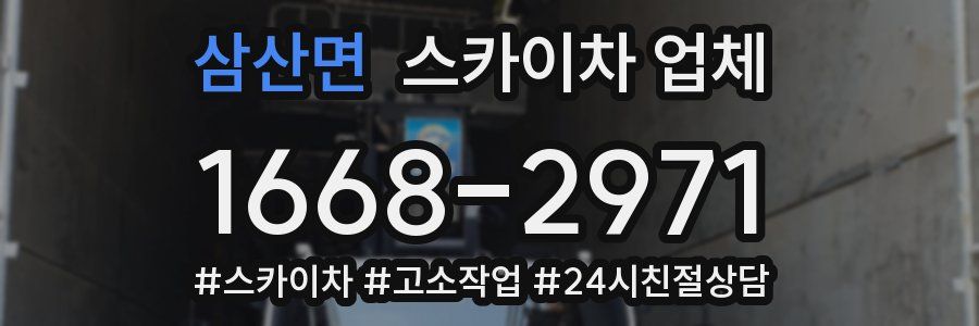 삼산면 스카이차 업체