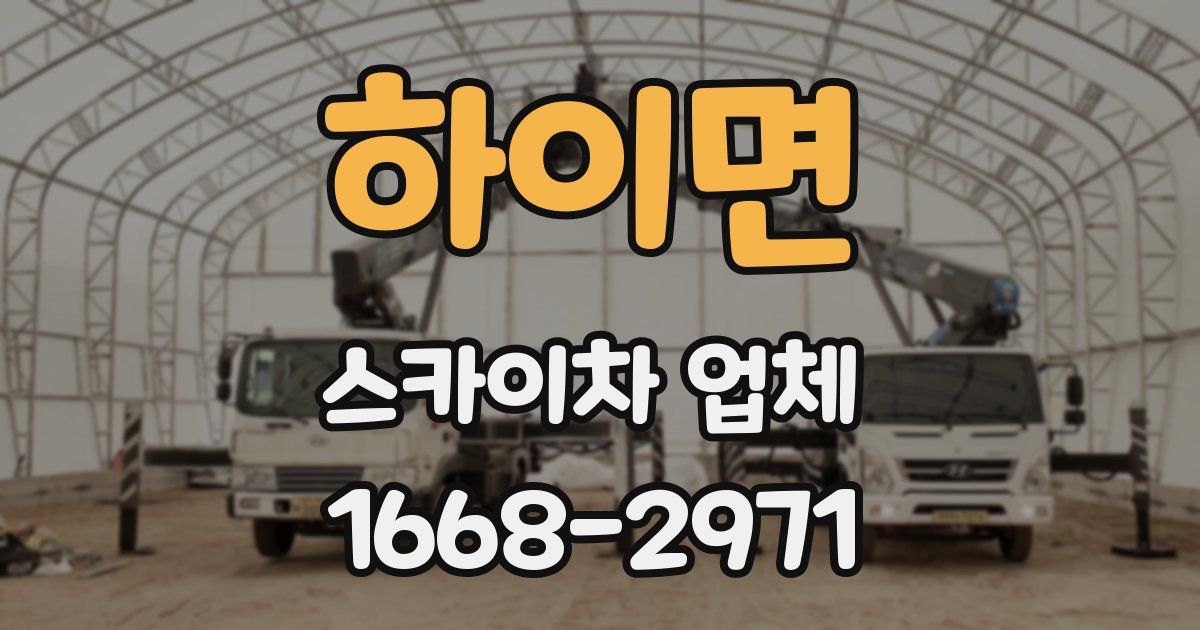 하이면 스카이차 업체