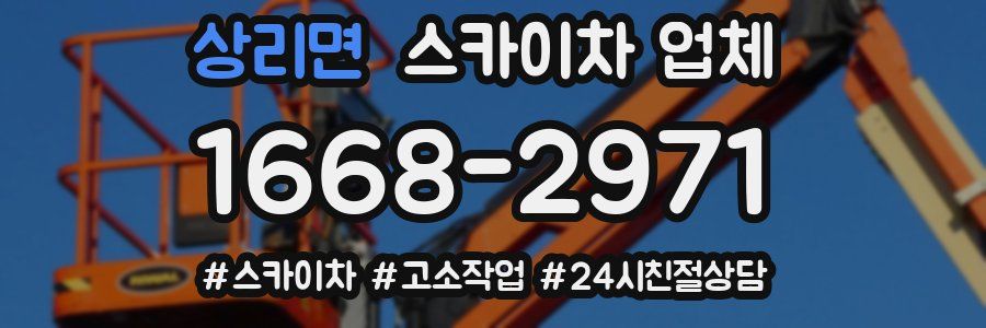 상리면 스카이차 업체