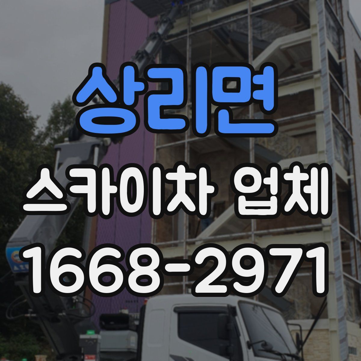 상리면 스카이차 업체