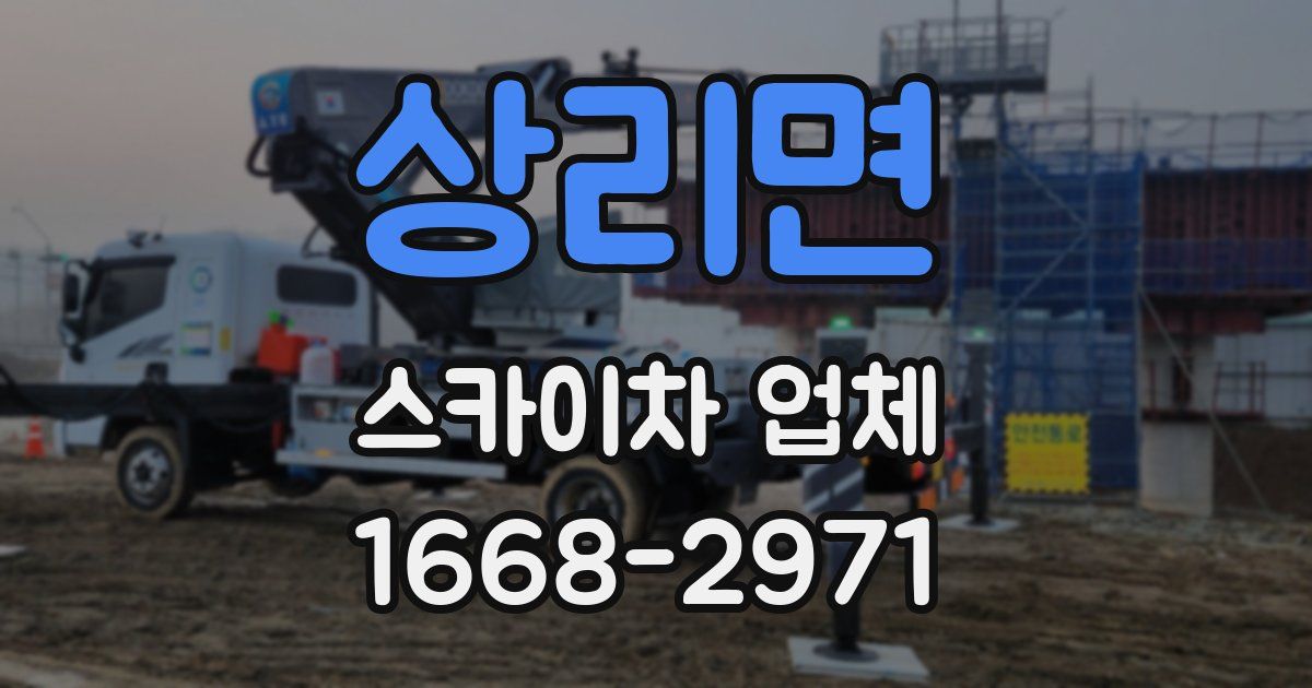 상리면 스카이차 업체