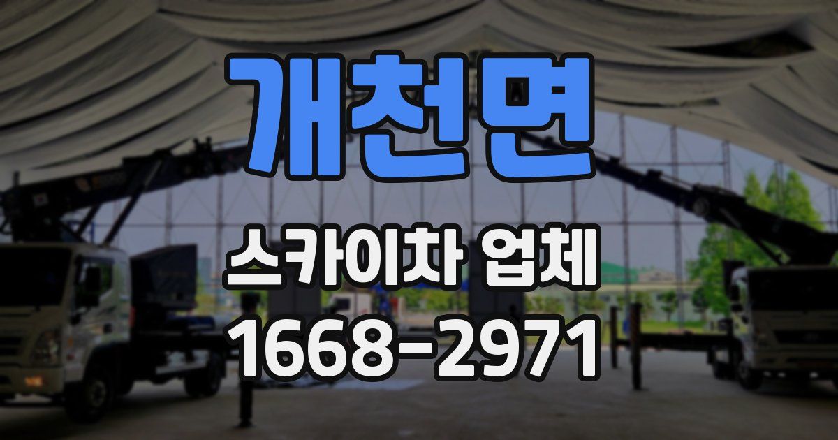 개천면 스카이차 업체