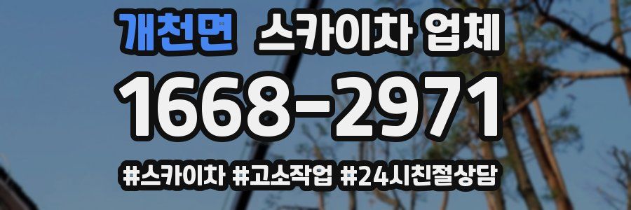 개천면 스카이차 업체