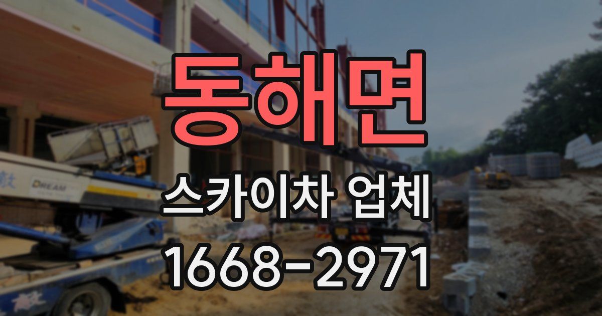 동해면 스카이차 업체