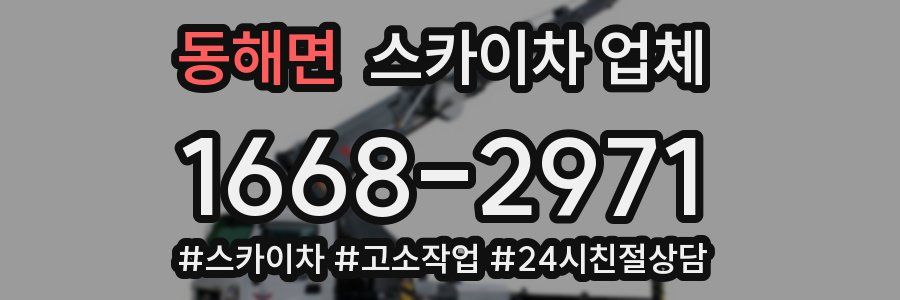 동해면 스카이차 업체