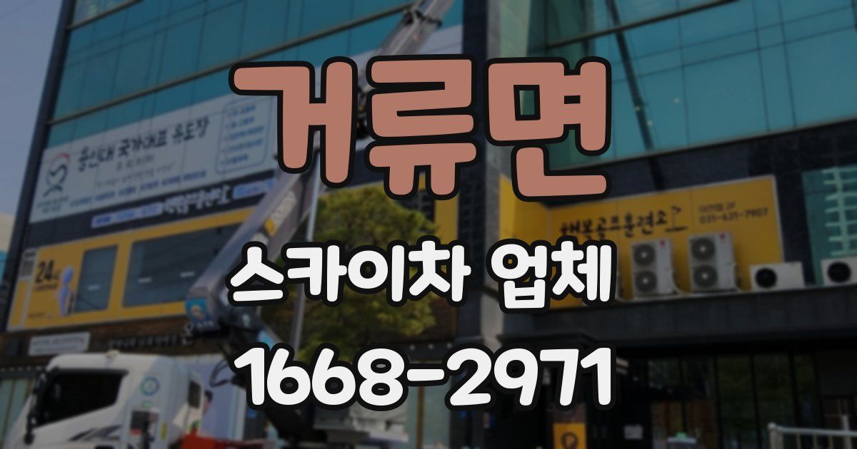 거류면 스카이차 업체