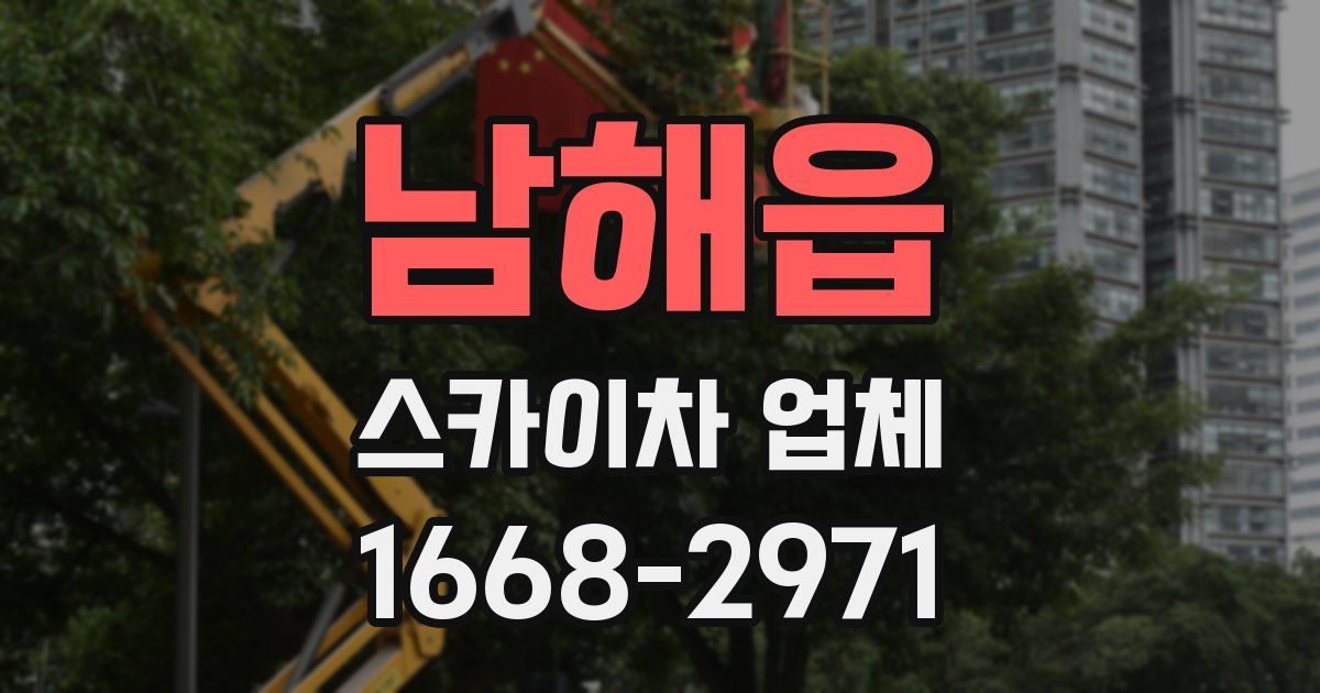 남해읍 스카이차 업체