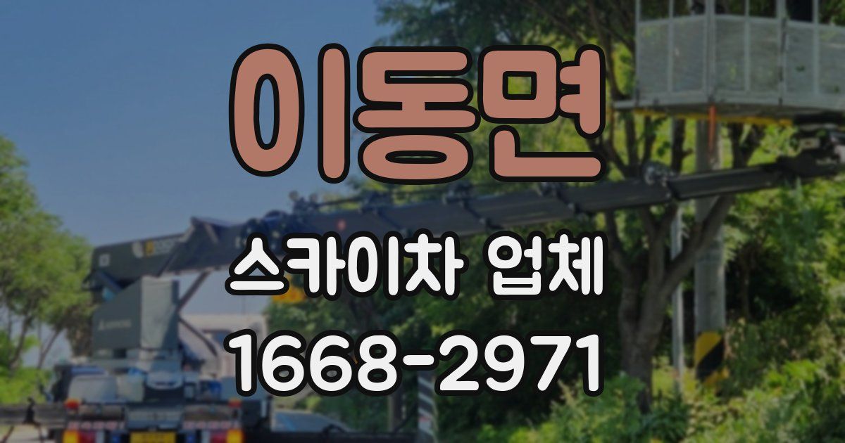 이동면 스카이차 업체
