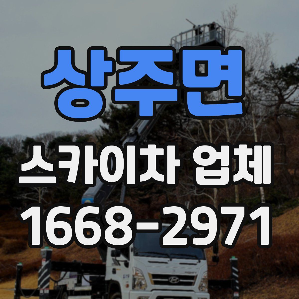 상주면 스카이차 업체