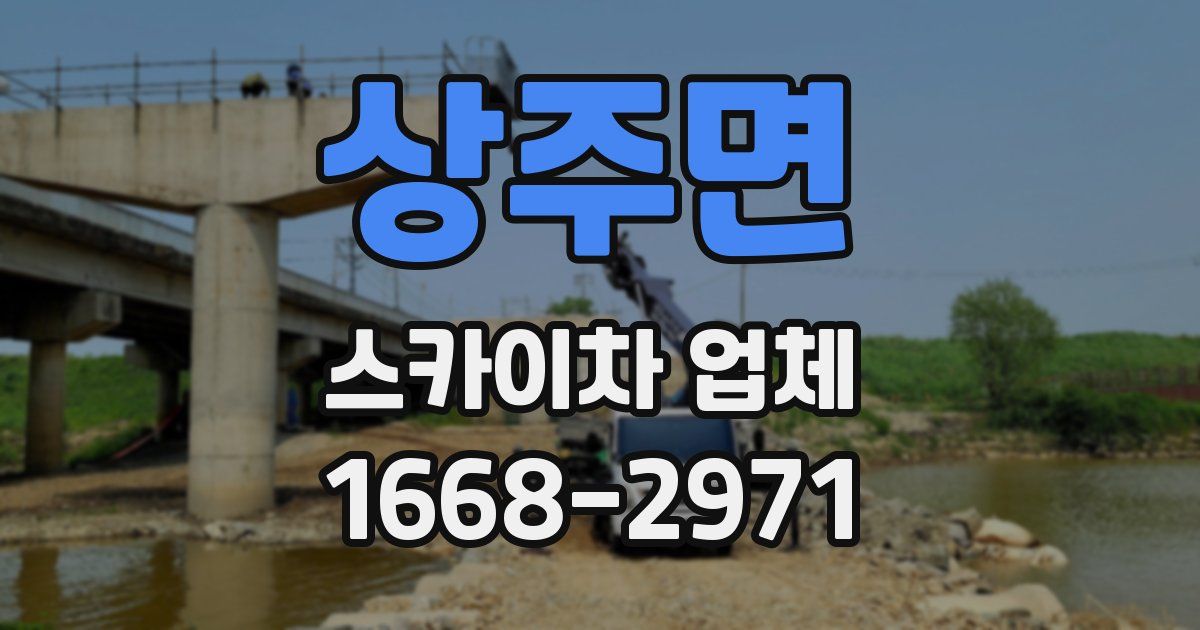 상주면 스카이차 업체