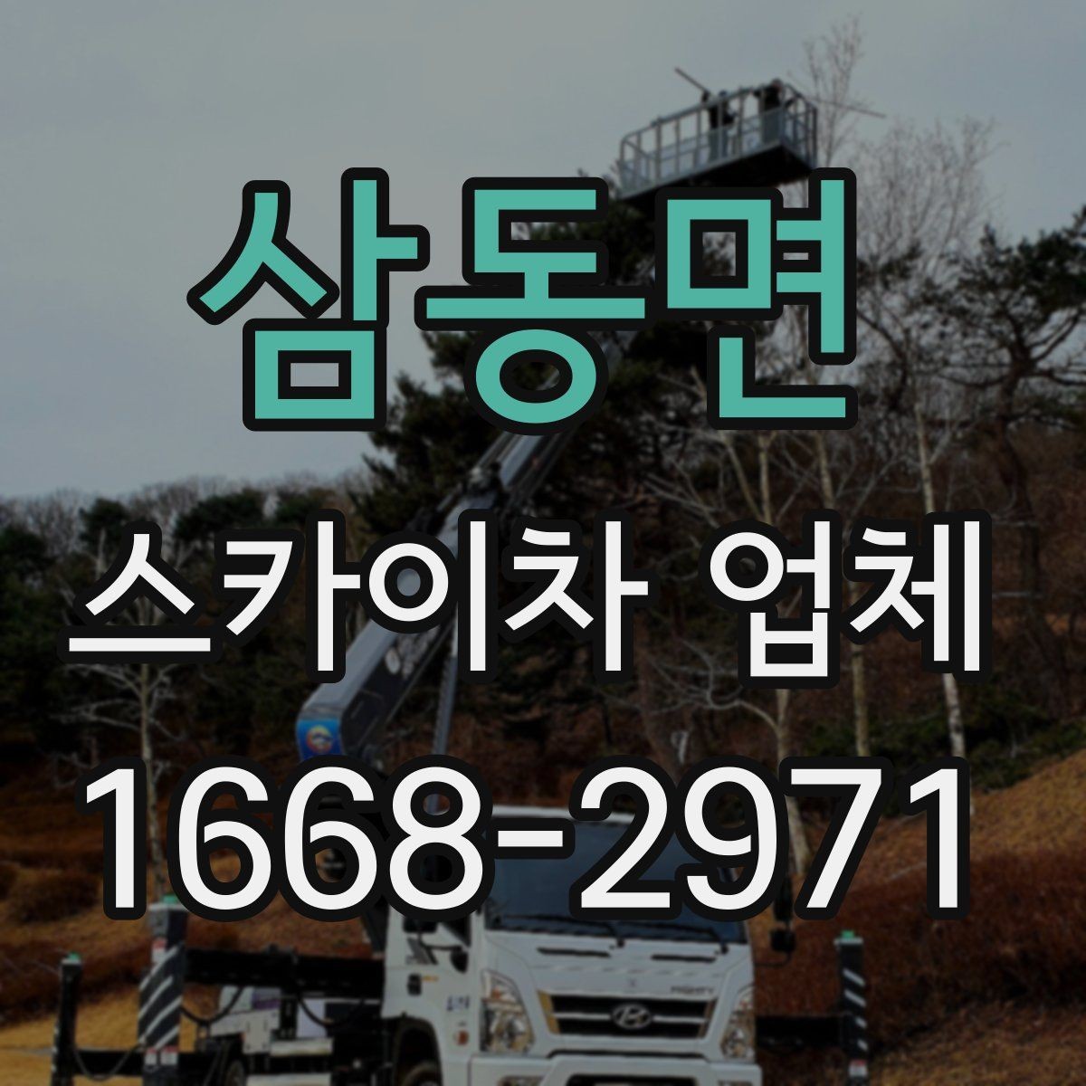 삼동면 스카이차 업체 서비스 상담으로 알 수 있는 것들