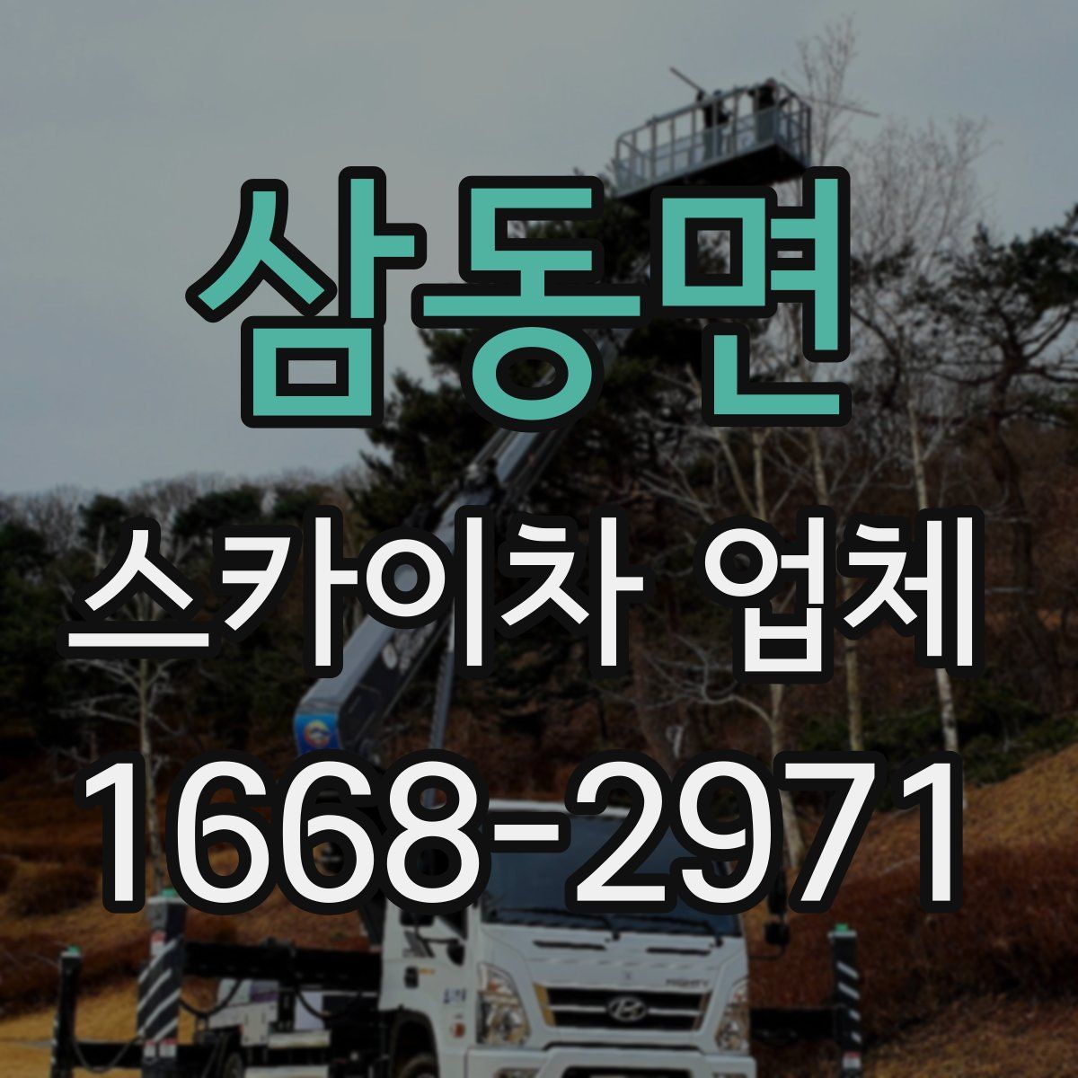 삼동면 스카이차 업체