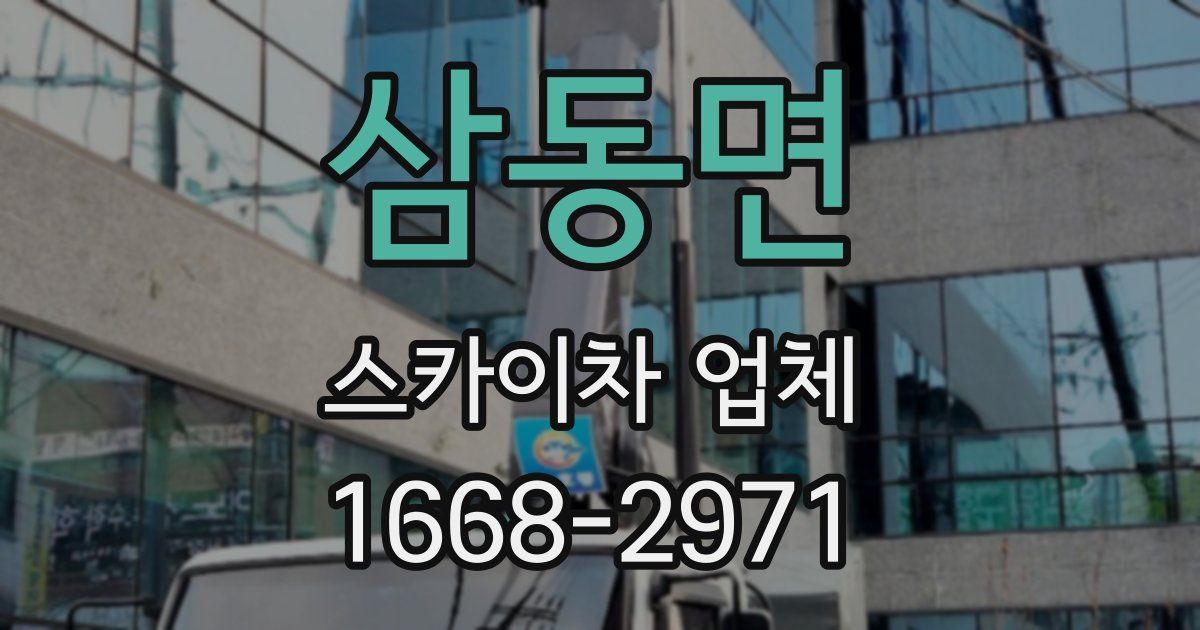 삼동면 스카이차 업체