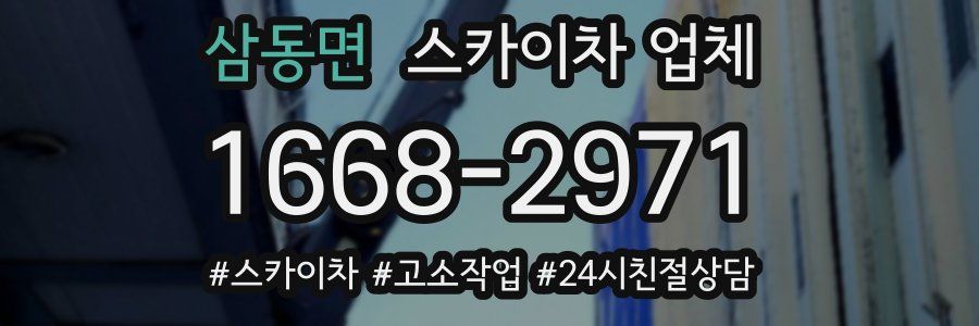 삼동면 스카이차 업체