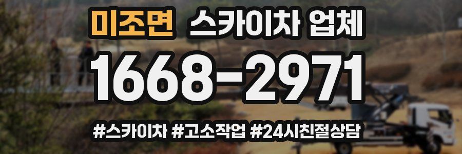 미조면 스카이차 업체