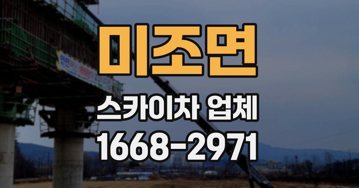 미조면 스카이차 업체