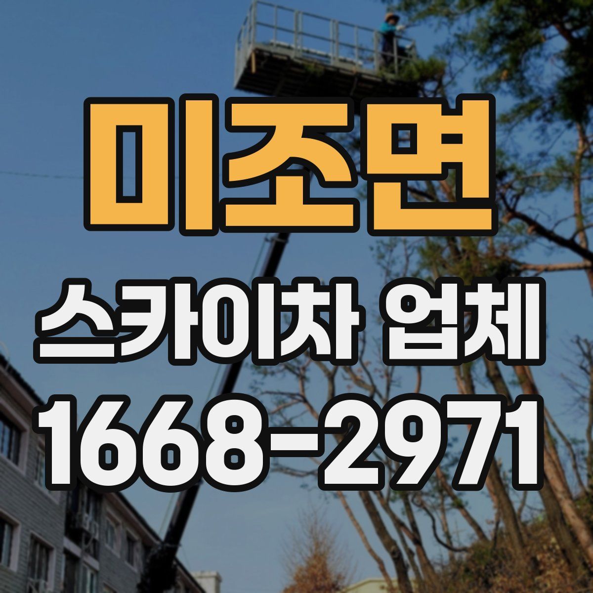 미조면 스카이차 업체