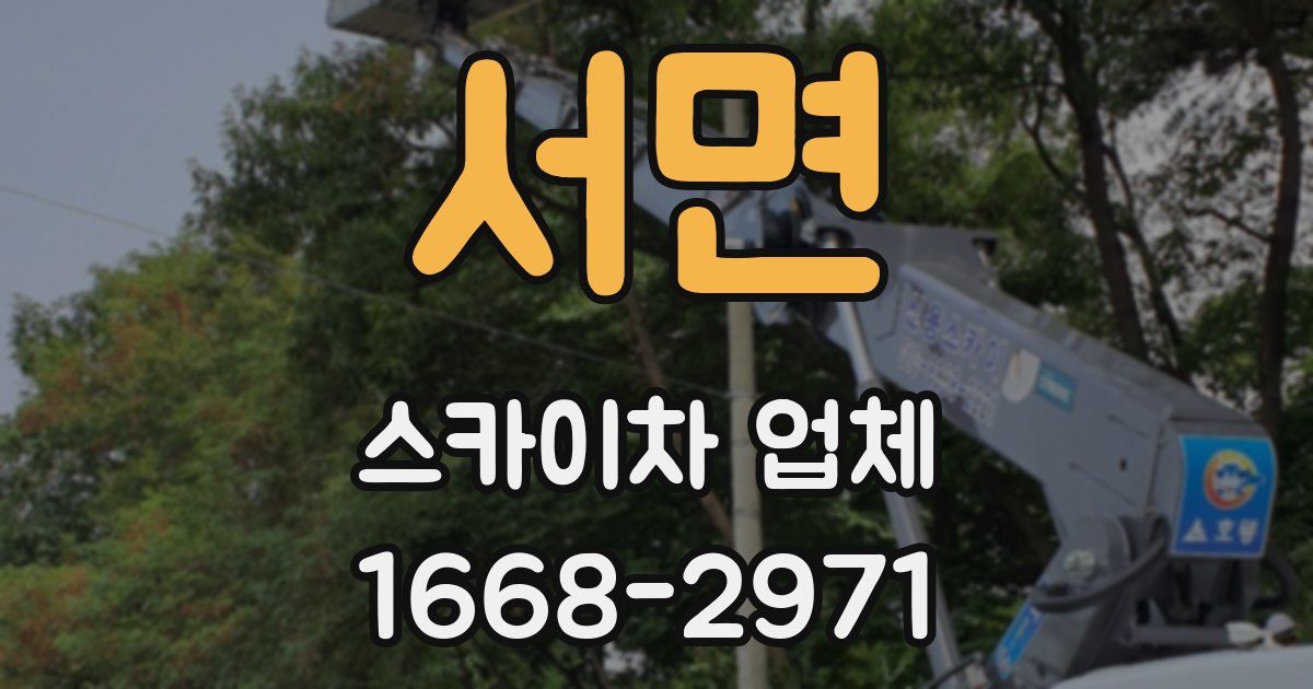 서면 스카이차 업체