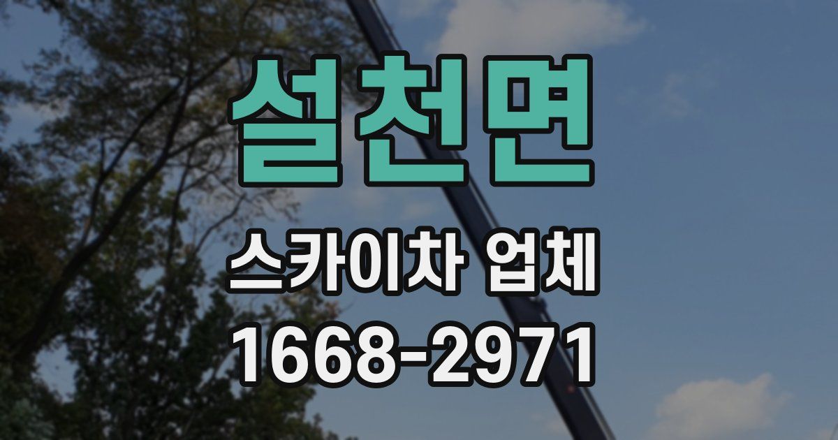 설천면 스카이차 업체