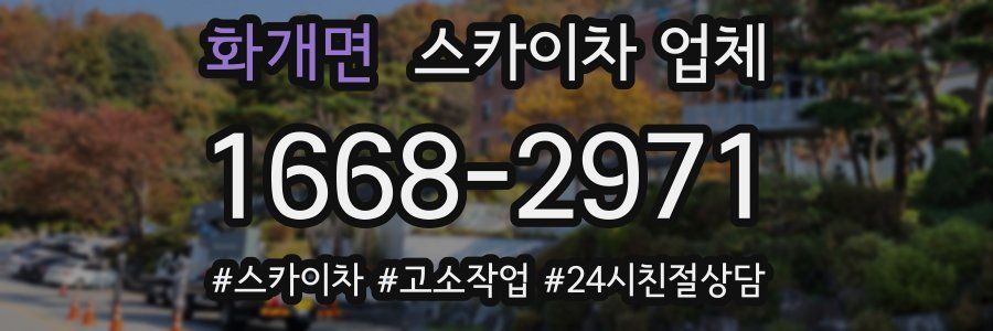 화개면 스카이차 업체