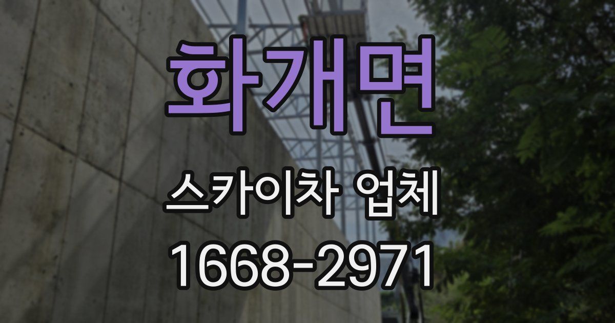 화개면 스카이차 업체
