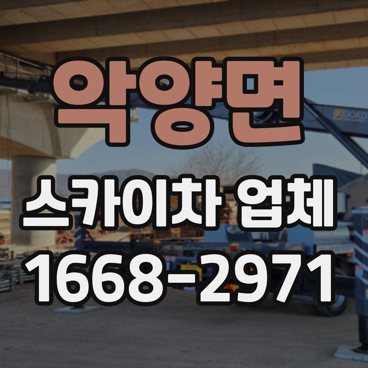 악양면 스카이차 업체