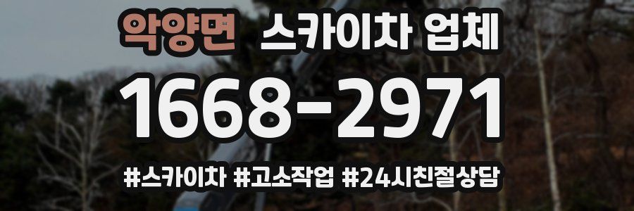 악양면 스카이차 업체