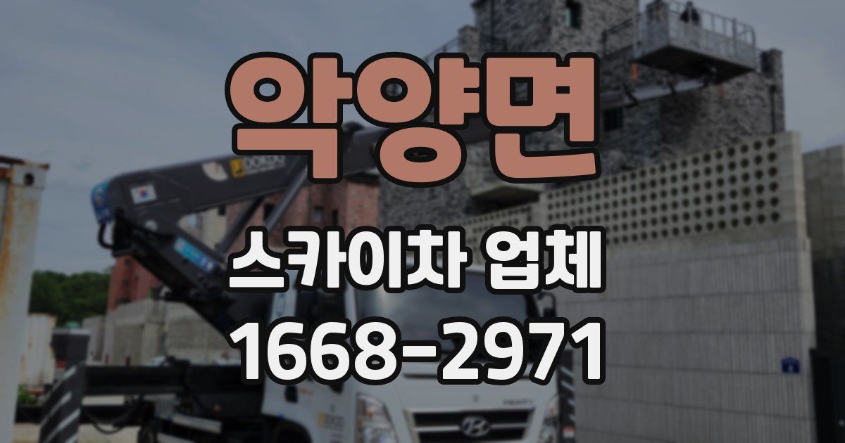 악양면 스카이차 업체