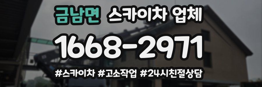 금남면 스카이차 업체