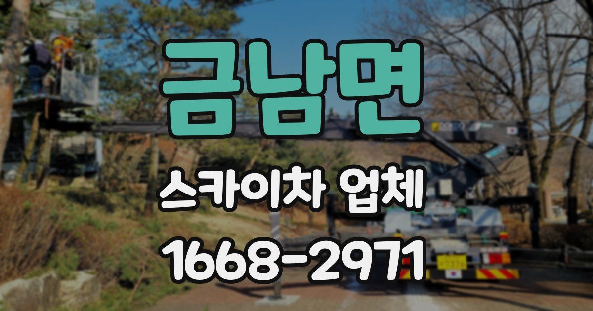 금남면 스카이차 업체