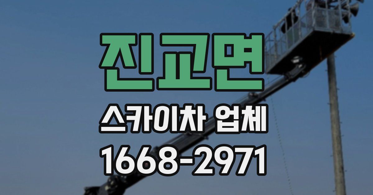 진교면 스카이차 업체