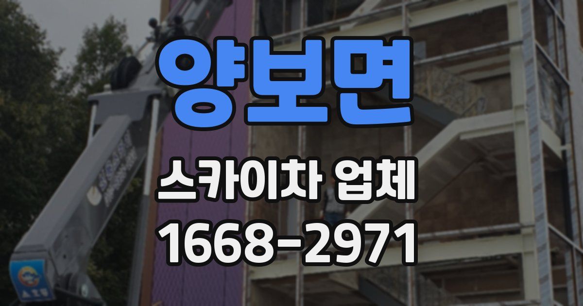 양보면 스카이차 업체