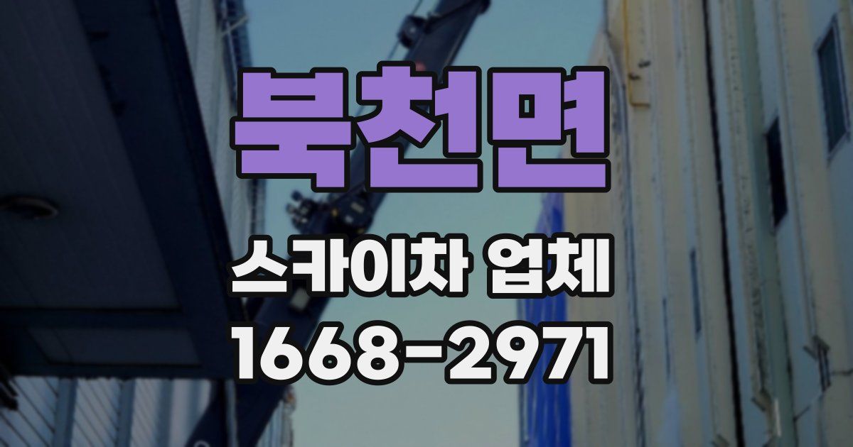 북천면 스카이차 업체