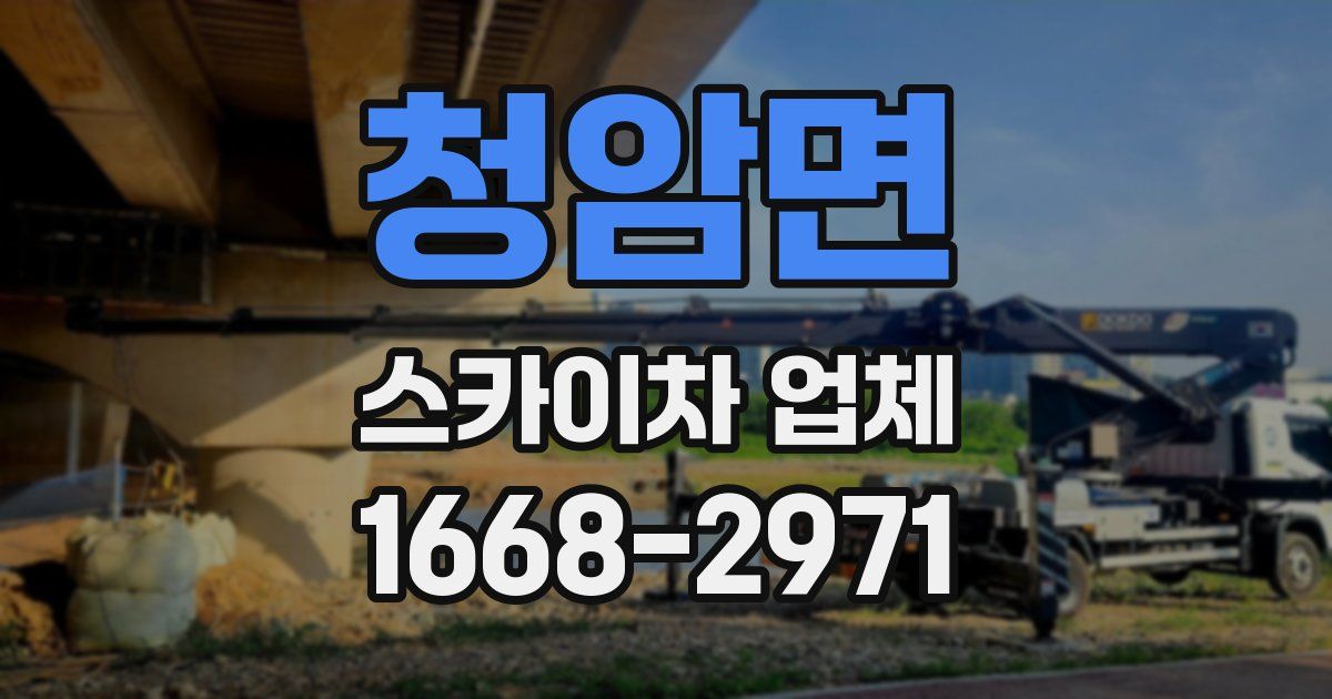 청암면 스카이차 업체