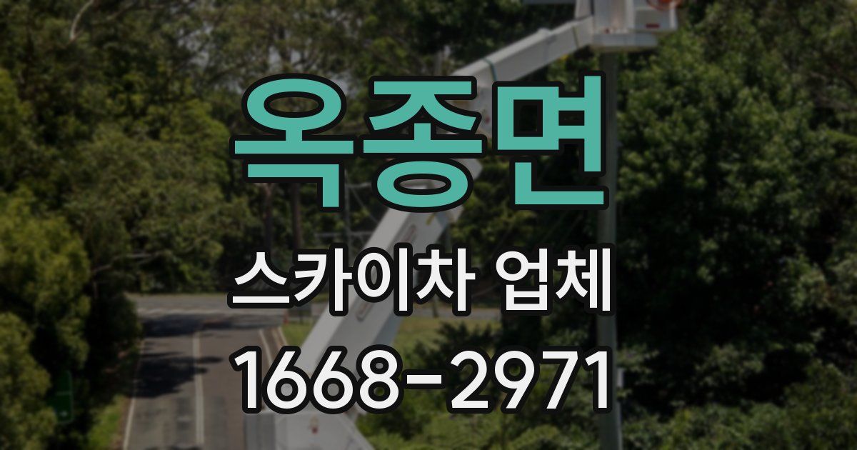 옥종면 스카이차 업체