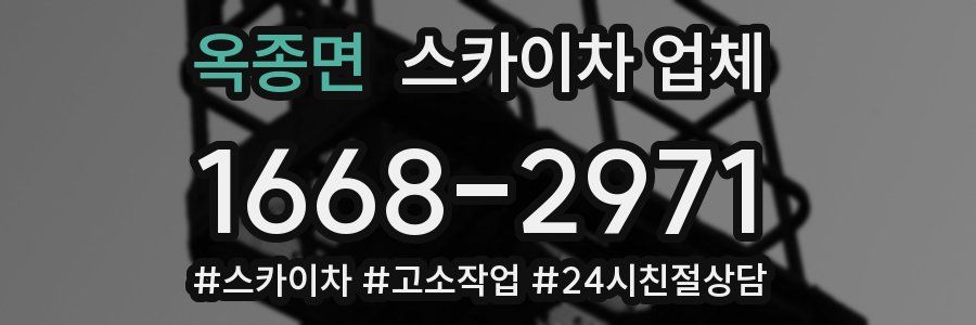 옥종면 스카이차 업체