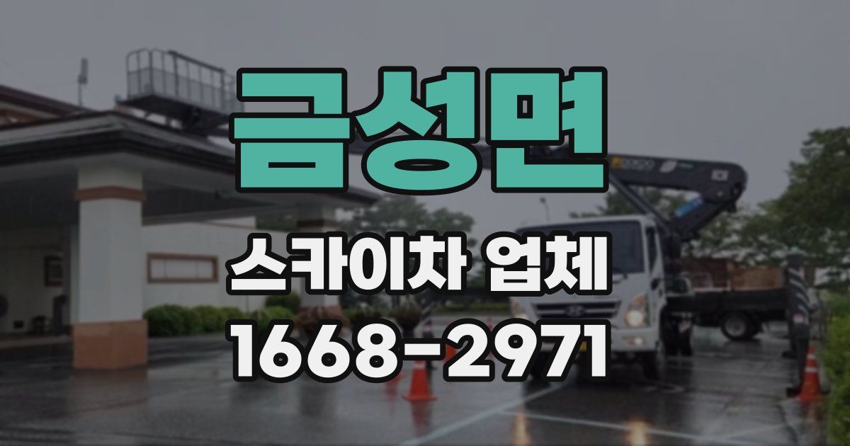 금성면 스카이차 업체