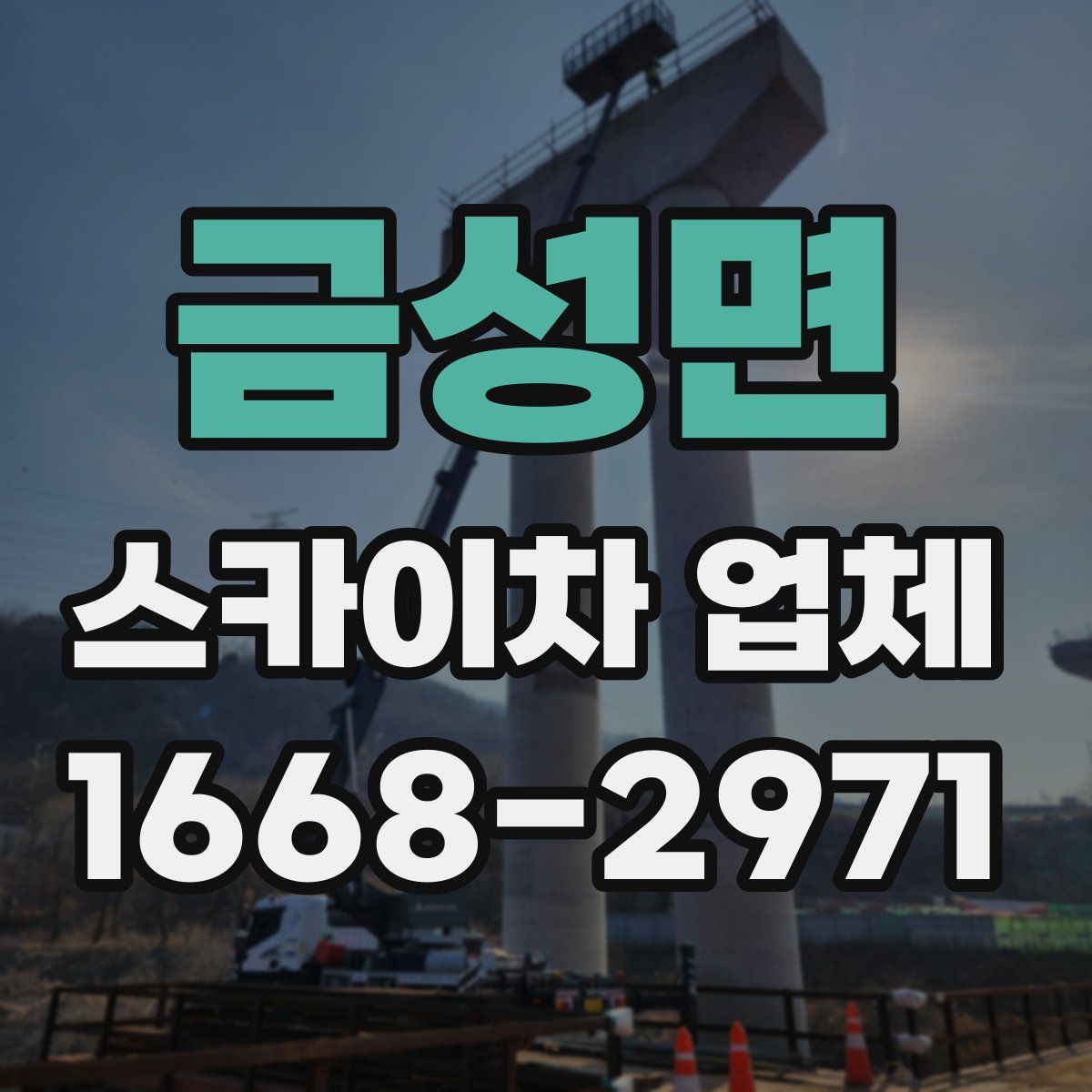 금성면 스카이차 업체