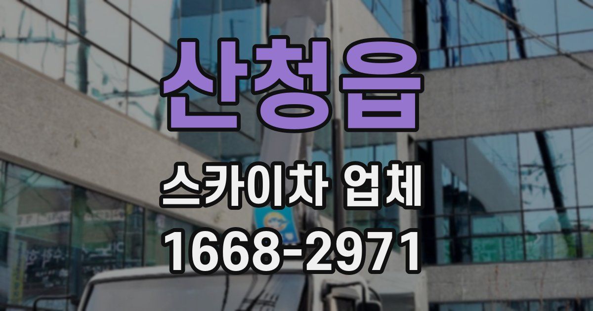 산청읍 스카이차 업체