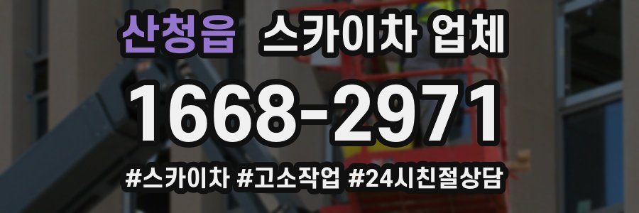 산청읍 스카이차 업체