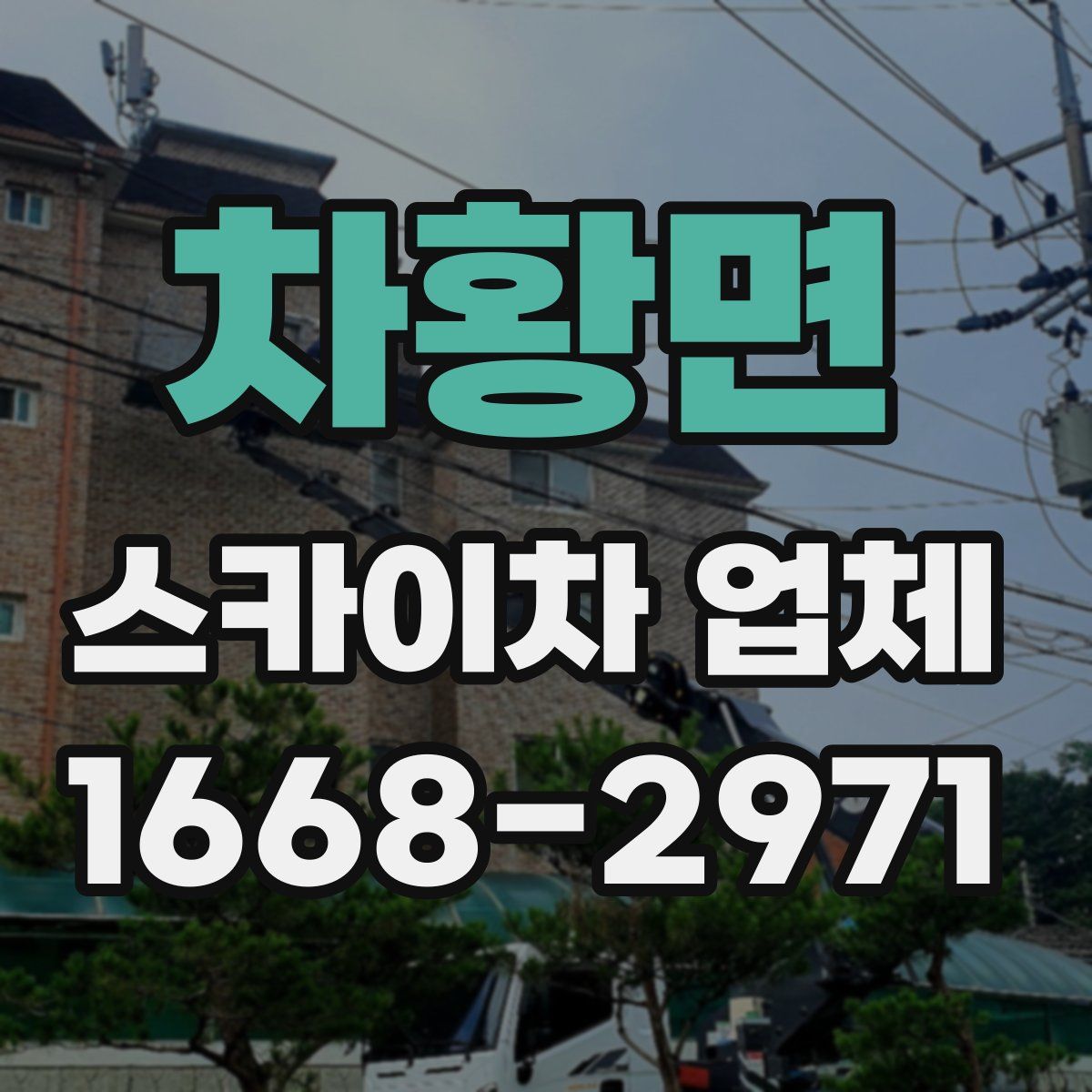 차황면 스카이차 업체