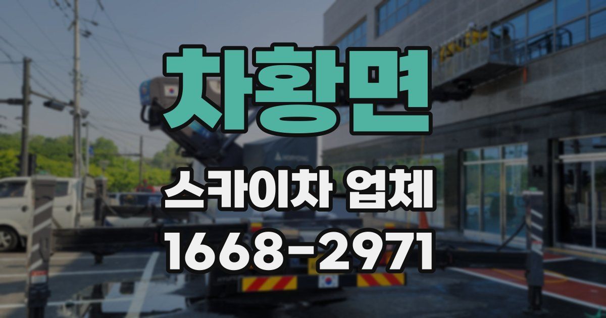 차황면 스카이차 업체