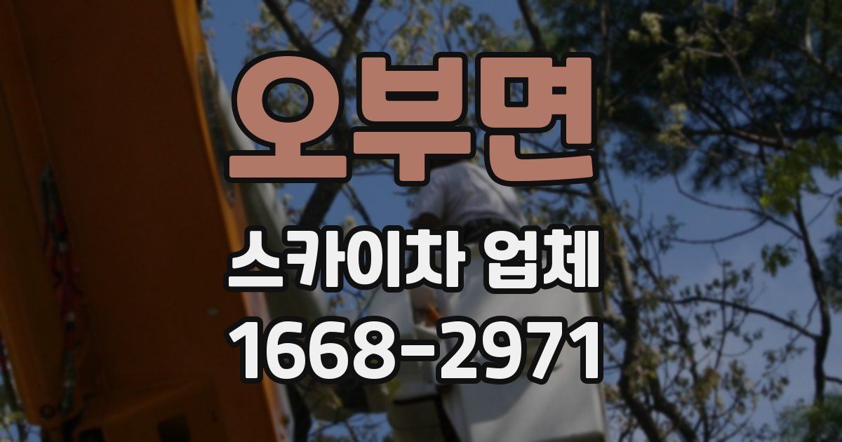 오부면 스카이차 업체