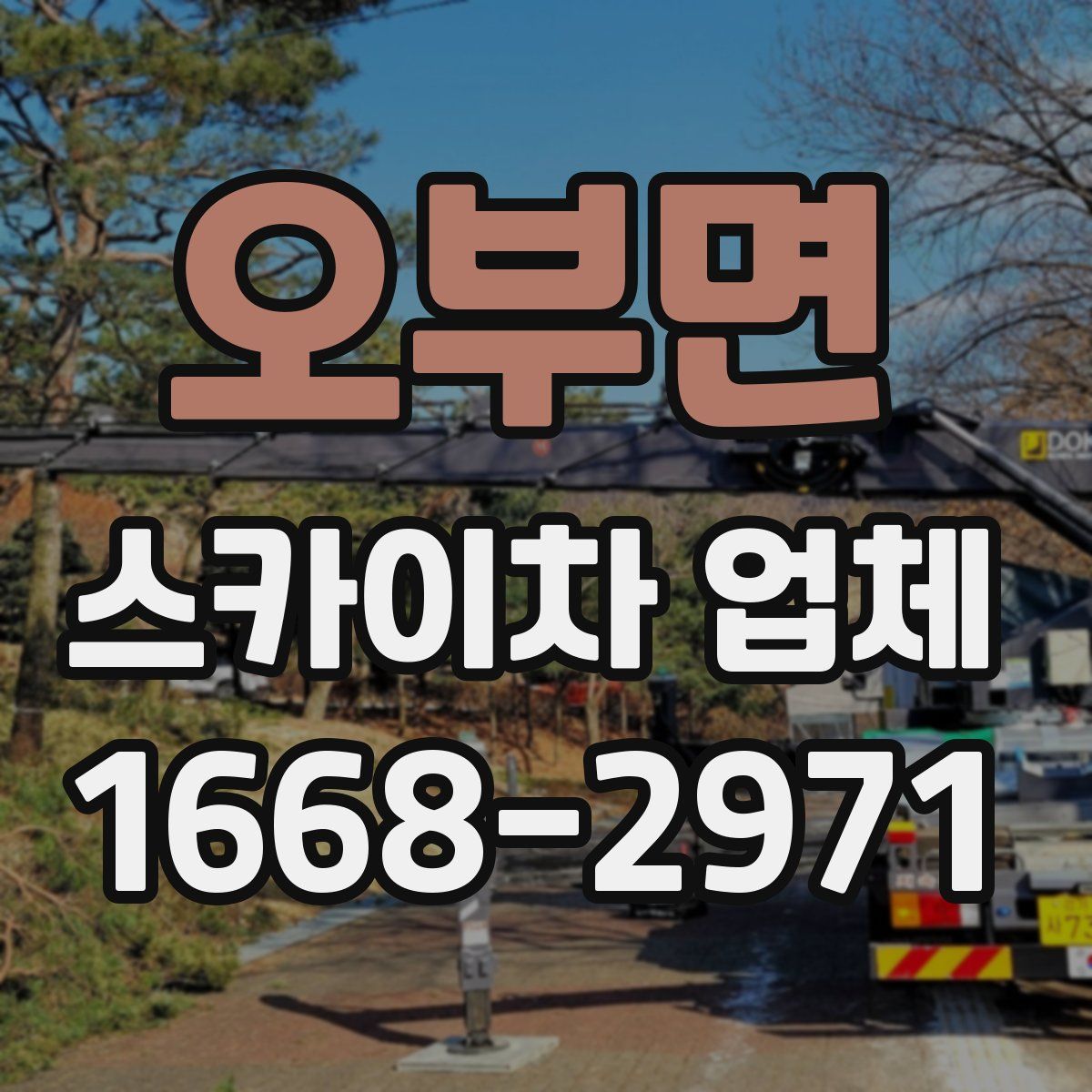 오부면 스카이차 업체