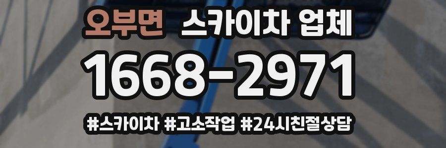 오부면 스카이차 업체