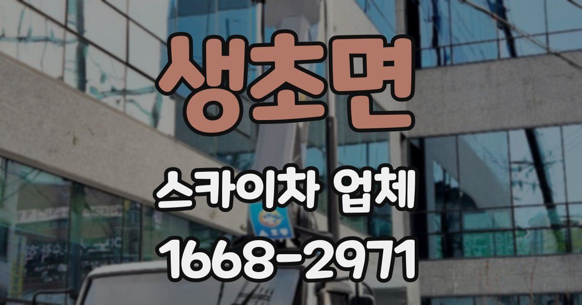 생초면 스카이차 업체