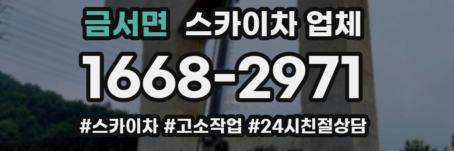 금서면 스카이차 업체